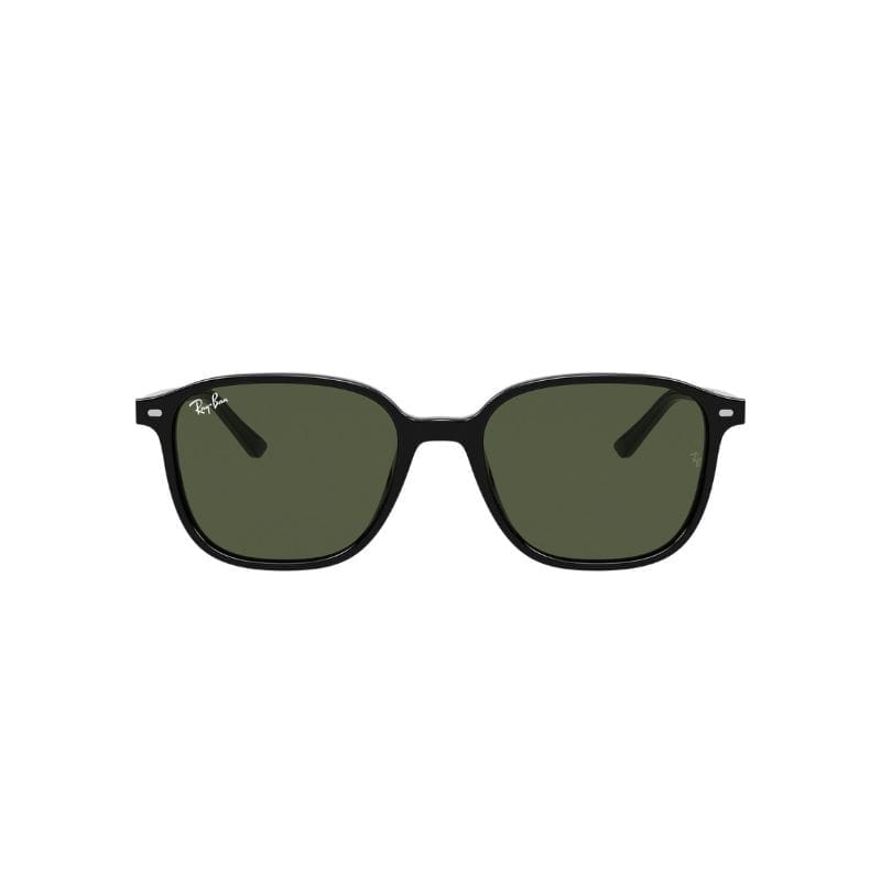 Anteojo de sol Ray-Ban Leonard 2193 901/31